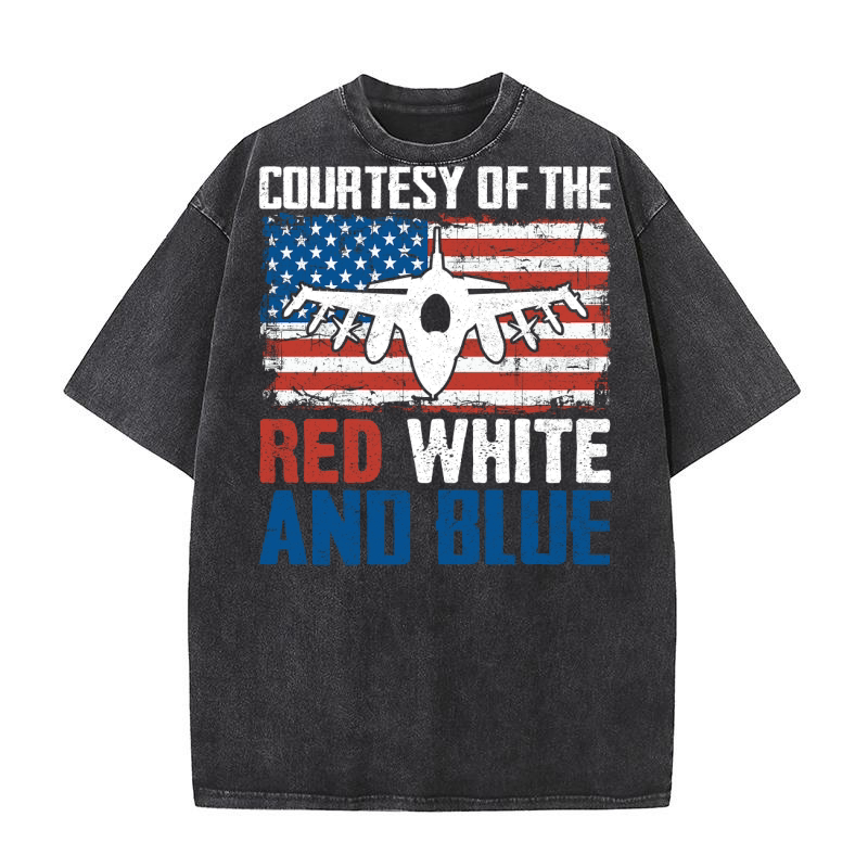 Courtesy Of The Red White And Blue Washed T-Shirt