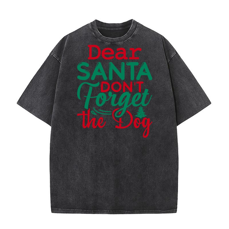 Dear santa dont forget the dog Washed T-Shirt