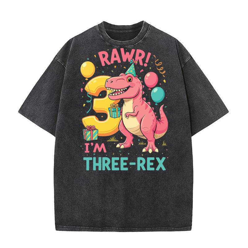 Rawr! im three rex Washed T-Shirt