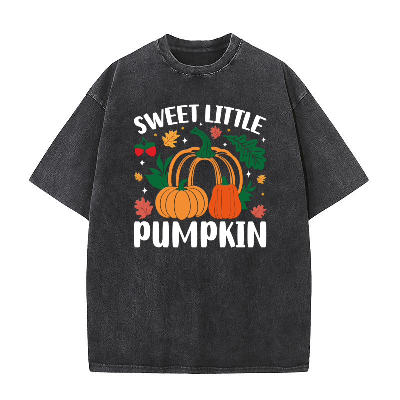 SWEET LITTLE PUMPKIN Washed T-Shirt