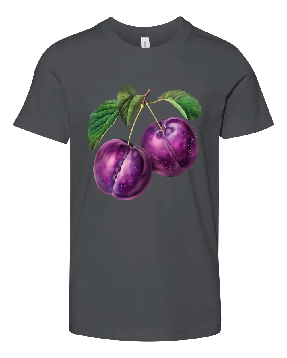 Plums Natures Perfect Snack Vintage Youth Unisex Jersey Tee