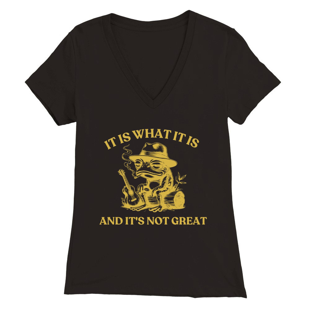 It is what it is and its not great Graphics 13 Premium Womens V-Neck T-shirt