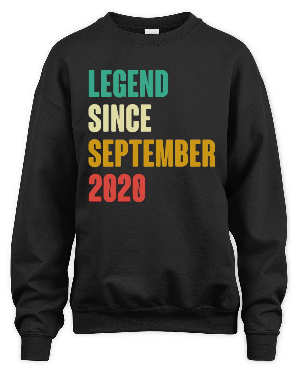 September 2020 2nd Birthday 2 Years Old Bday Gift Unisex Premium Crewneck Sweatshirt