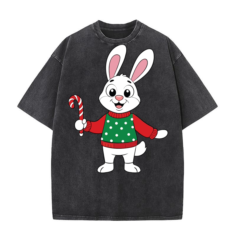 Christmas Rabbit 09 Washed T-Shirt
