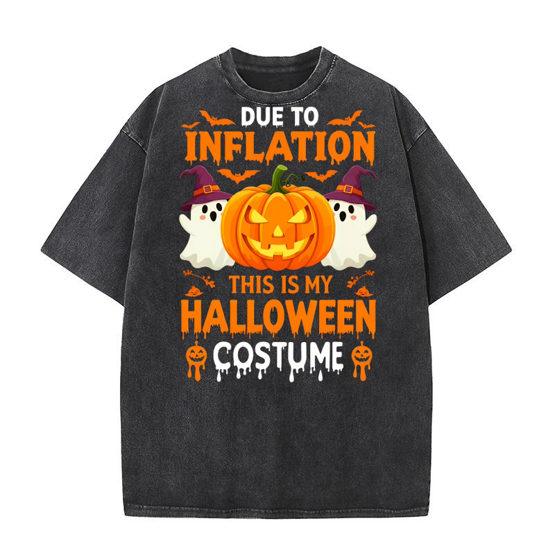 Due To Inflation This Is My Halloween Costume Washed T-Shirt