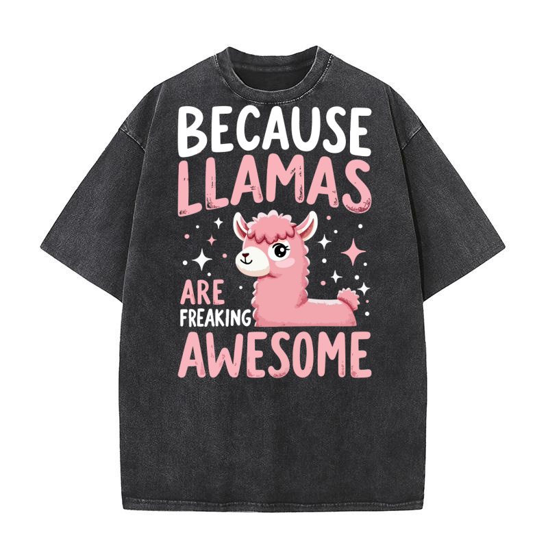 LLama (5) Washed T-Shirt