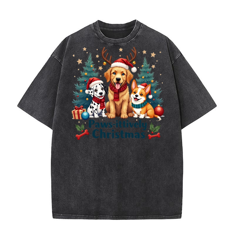 Paws itively Christmas Washed T-Shirt