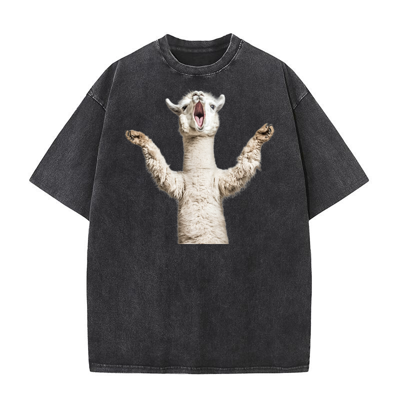 Three Alpaca Moon Weird Cursed Washed T-Shirt
