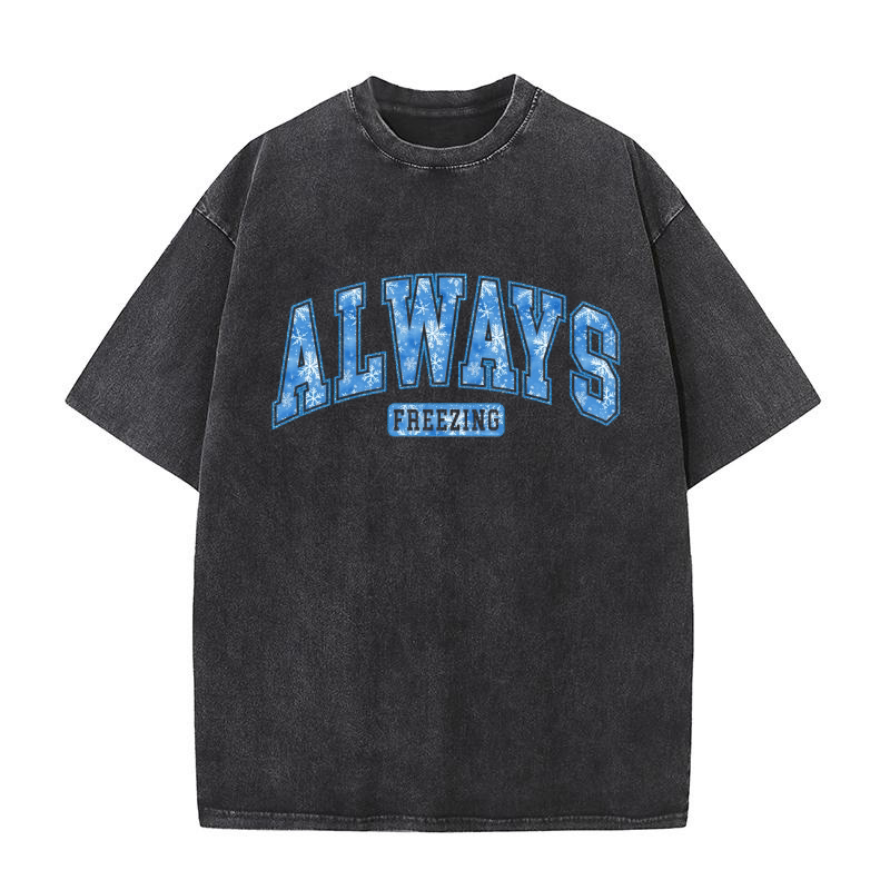 Always Freezing 1 Washed T-Shirt