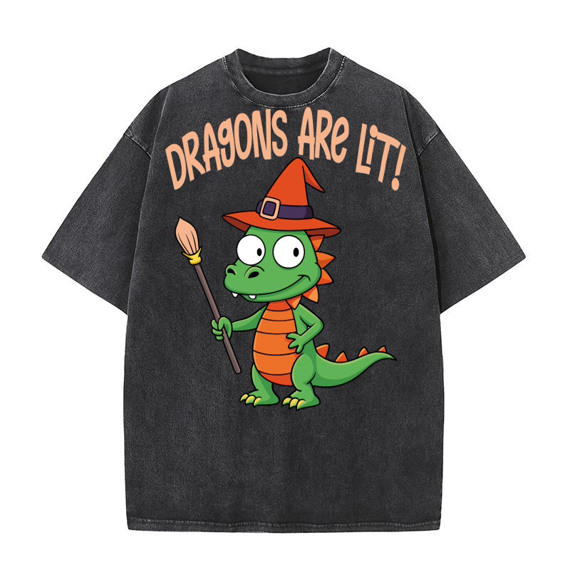 Dragons are lit! Washed T-Shirt