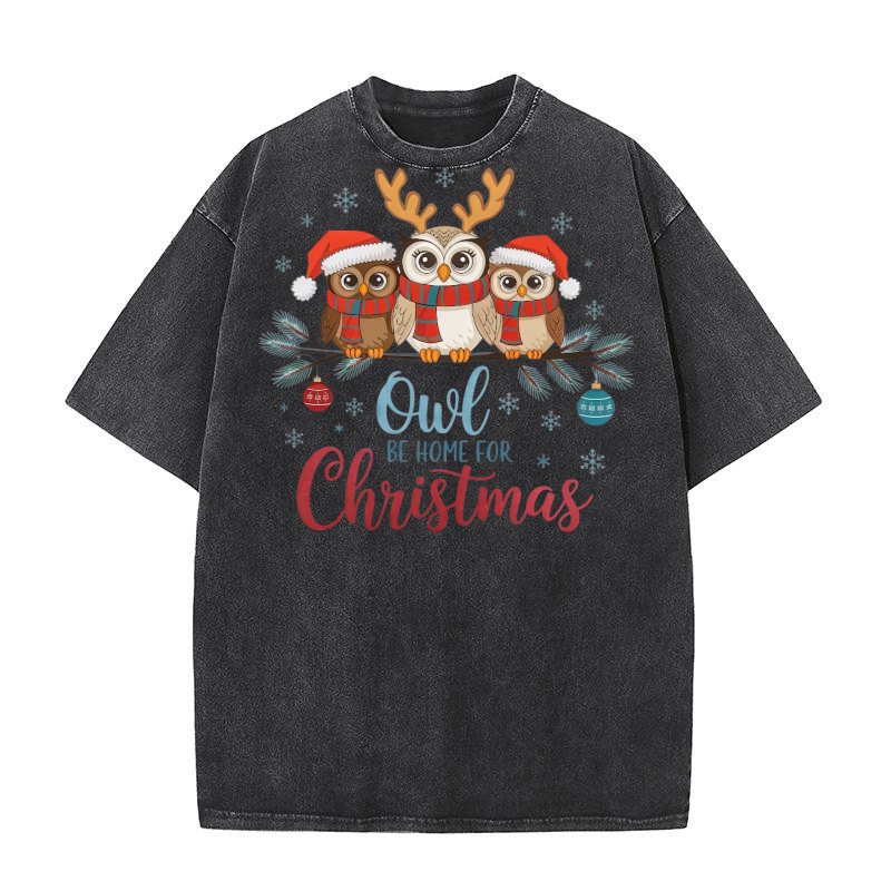Owl Be Home for Christmas Washed T-Shirt