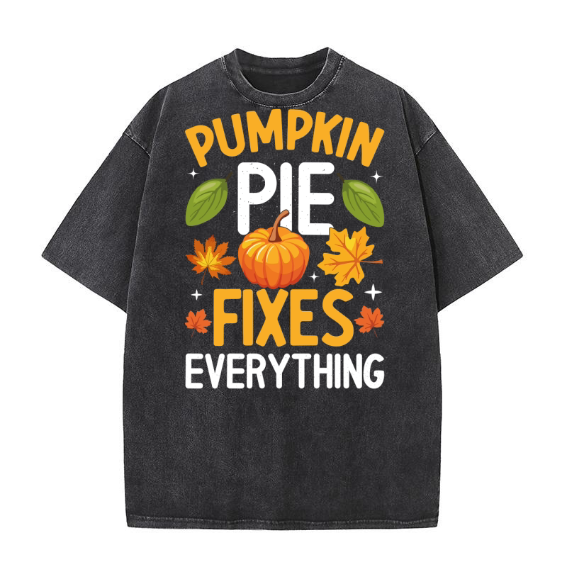 PUMPKIN PIE FIXES EVERYTHING Washed T-Shirt