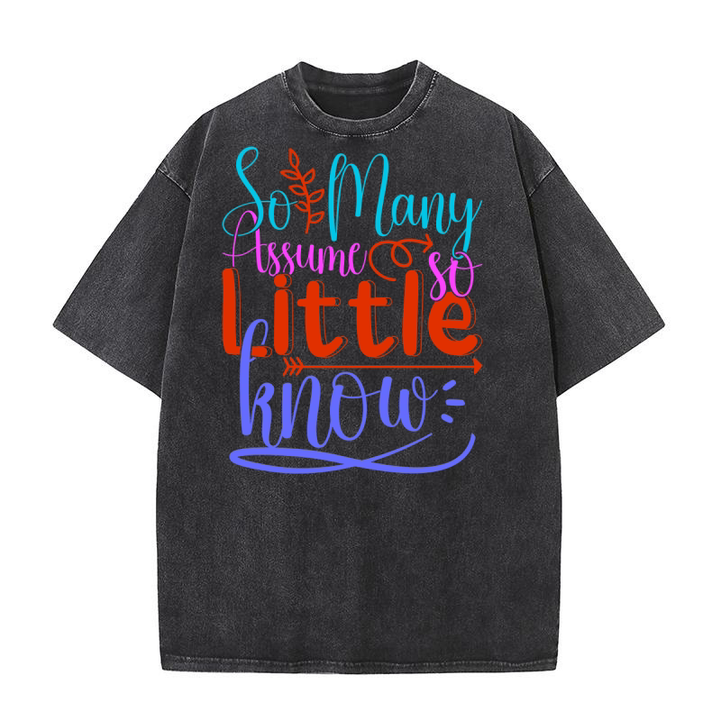 So Many Assume So Little Know Washed T-Shirt
