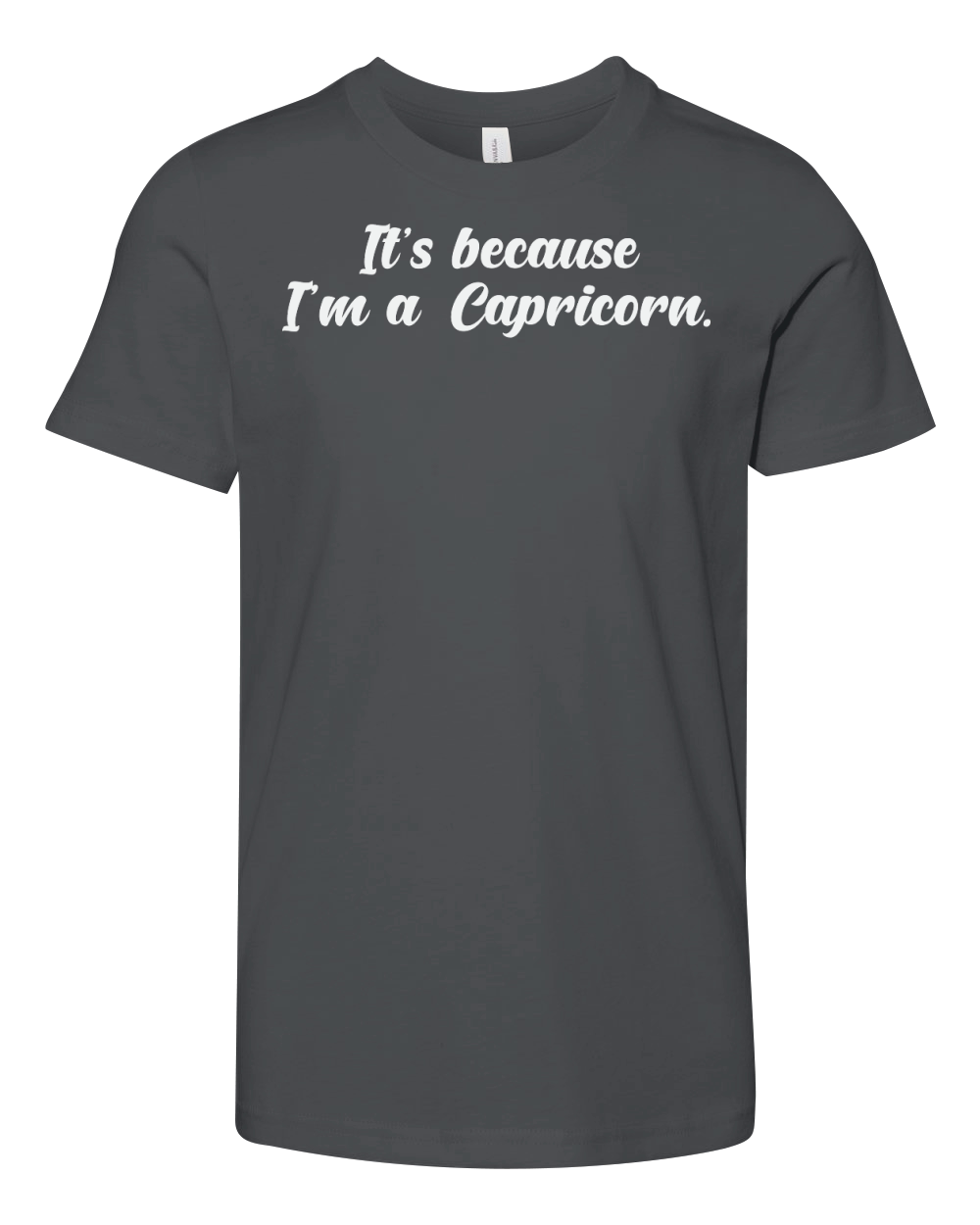 Its Because Im a Capricorn 2 Youth Unisex Jersey Tee