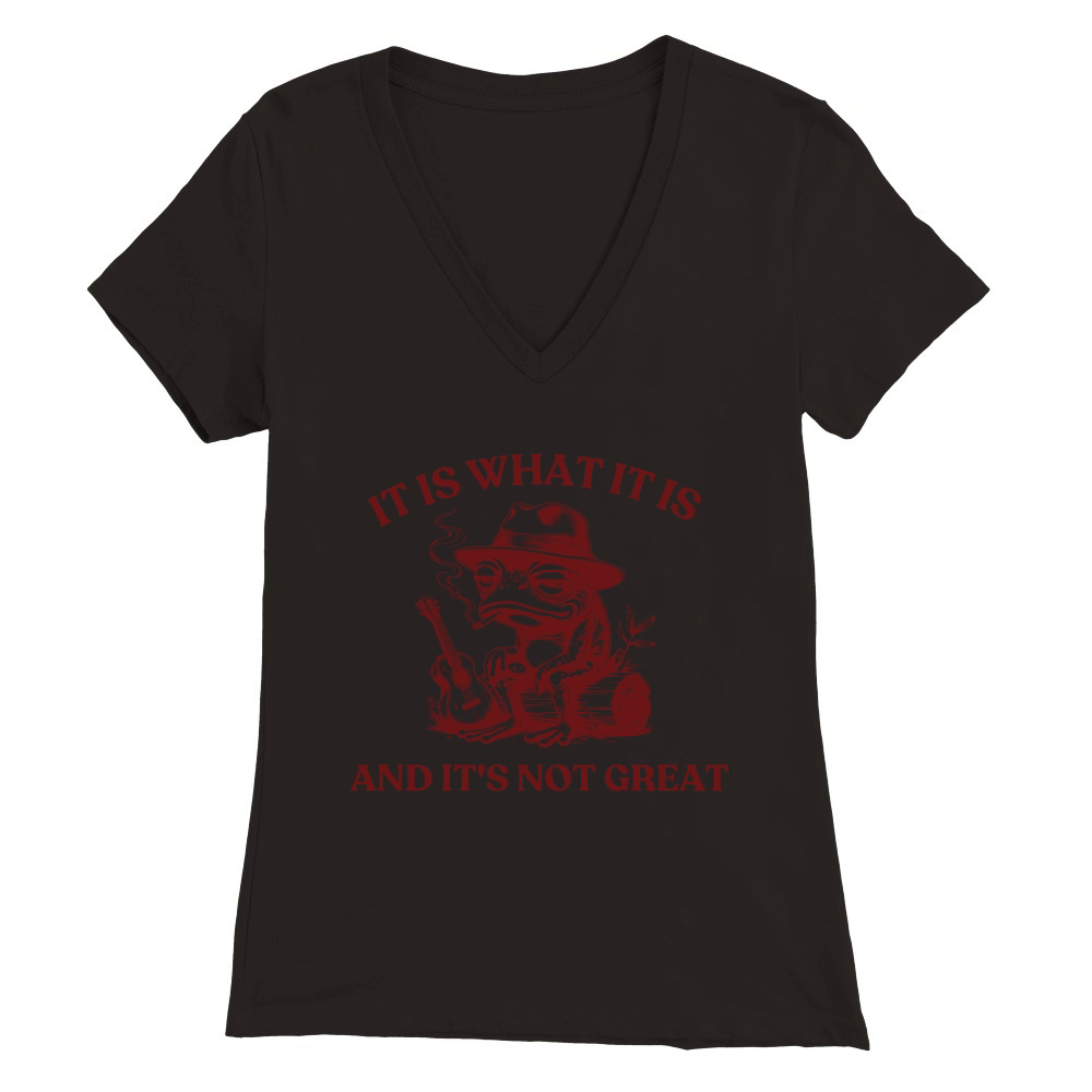 It is what it is and its not great Graphics 02 Premium Womens V-Neck T-shirt