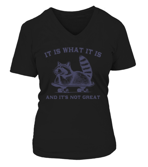 It Is What It Is And Its Not Great L dViolet V-neck T-Shirt Woman