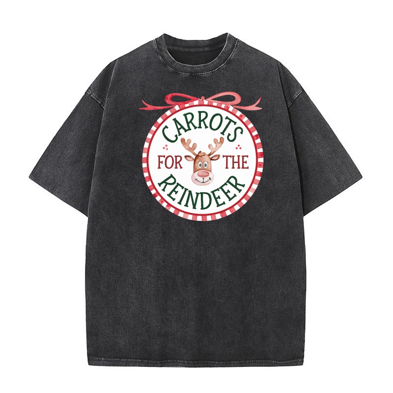 Carrots for The Reindeer Christmas Santa 2 Washed T-Shirt