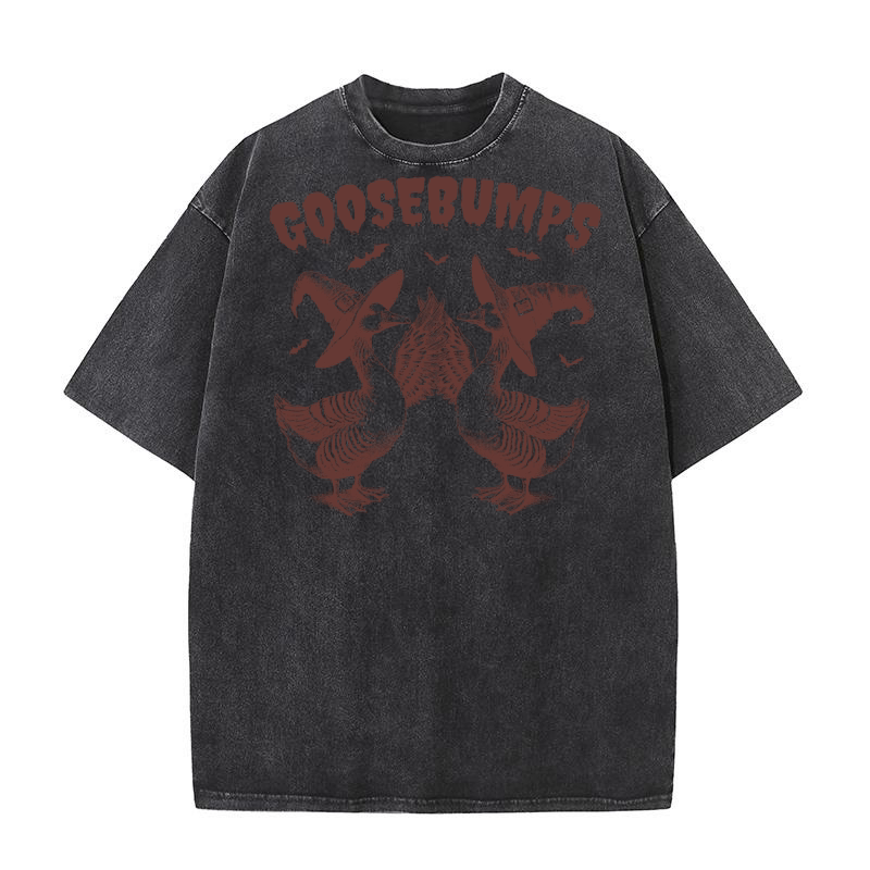 Goosebumps Halloween Witch Goose L Brown Washed T-Shirt