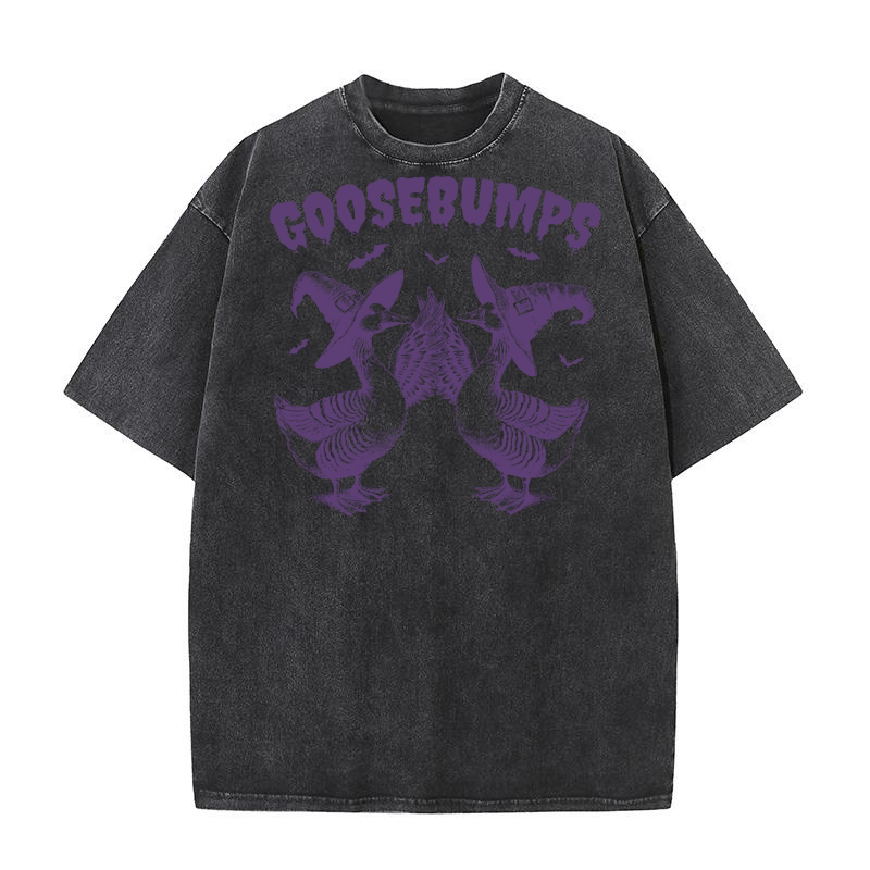 Goosebumps Halloween Witch Goose L Violet Washed T-Shirt