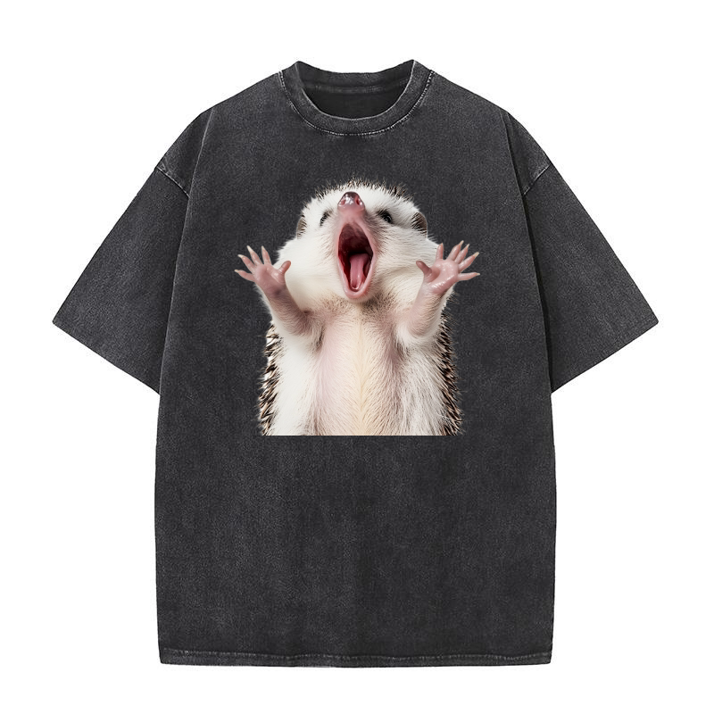 Hedgehog (2) Washed T-Shirt