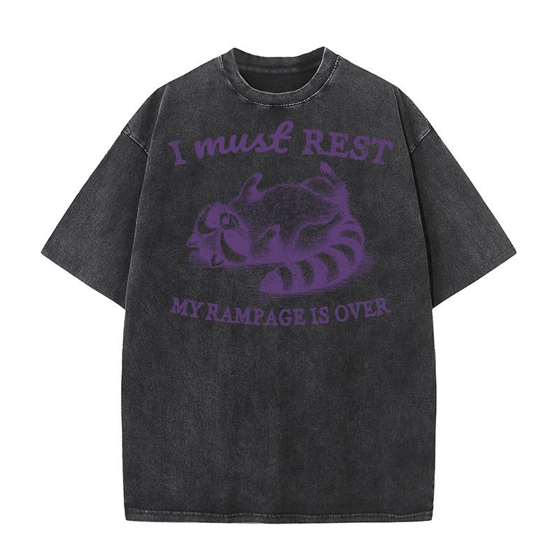 Raccoon weird sleeping L Violet Washed T-Shirt