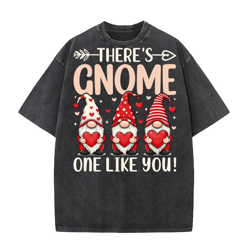 Theres Gnome One like you! Washed T-Shirt