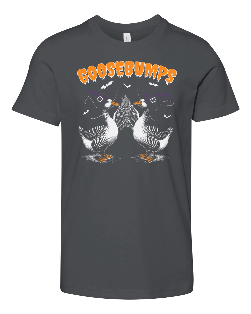 0502 Goosebumps Halloween Witch Goose D Color Youth Unisex Jersey Tee