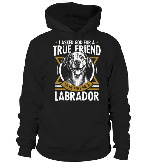 i asked god for a true friend so he sent me a labrador Hoodie Unisex