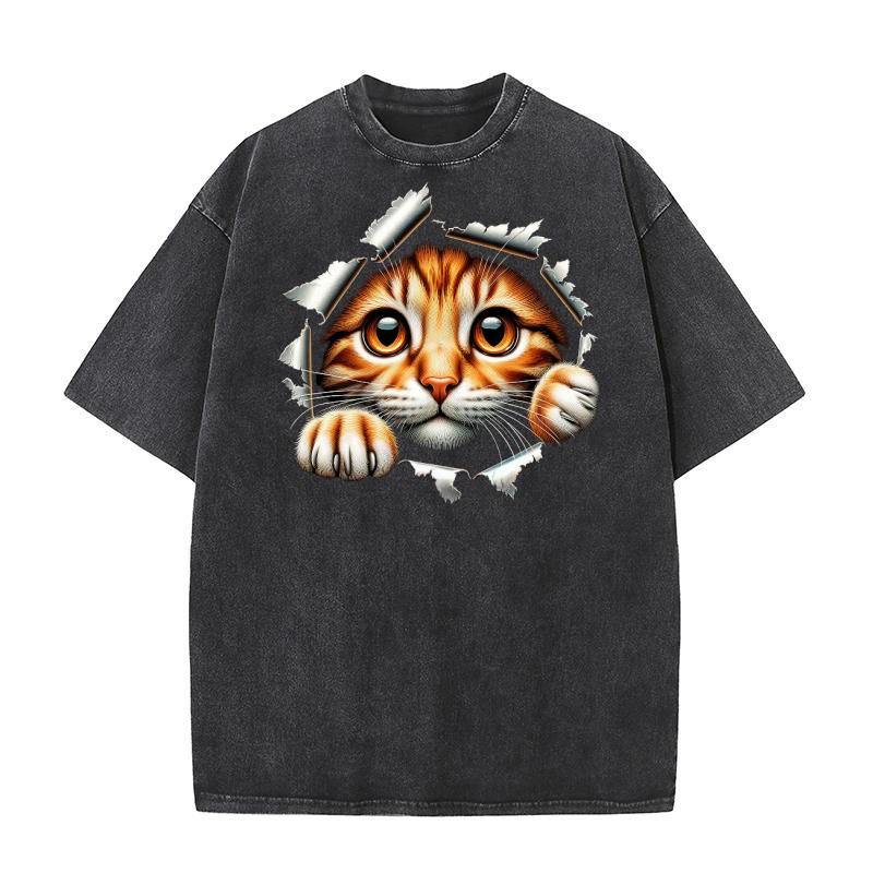 Cute Cat Looks from Torn Washed T-Shirt