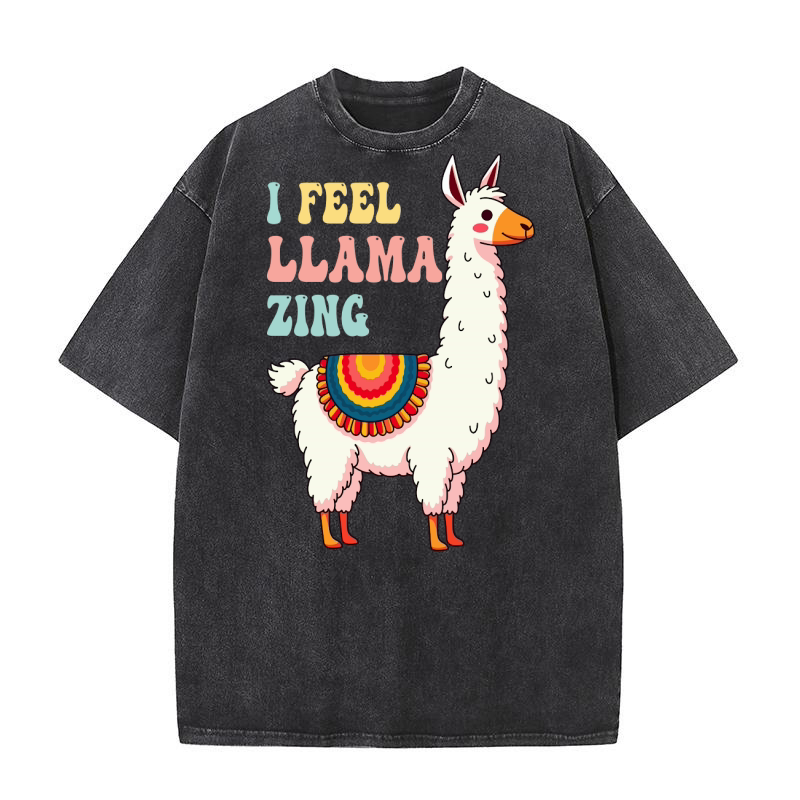 LLama (3) Washed T-Shirt