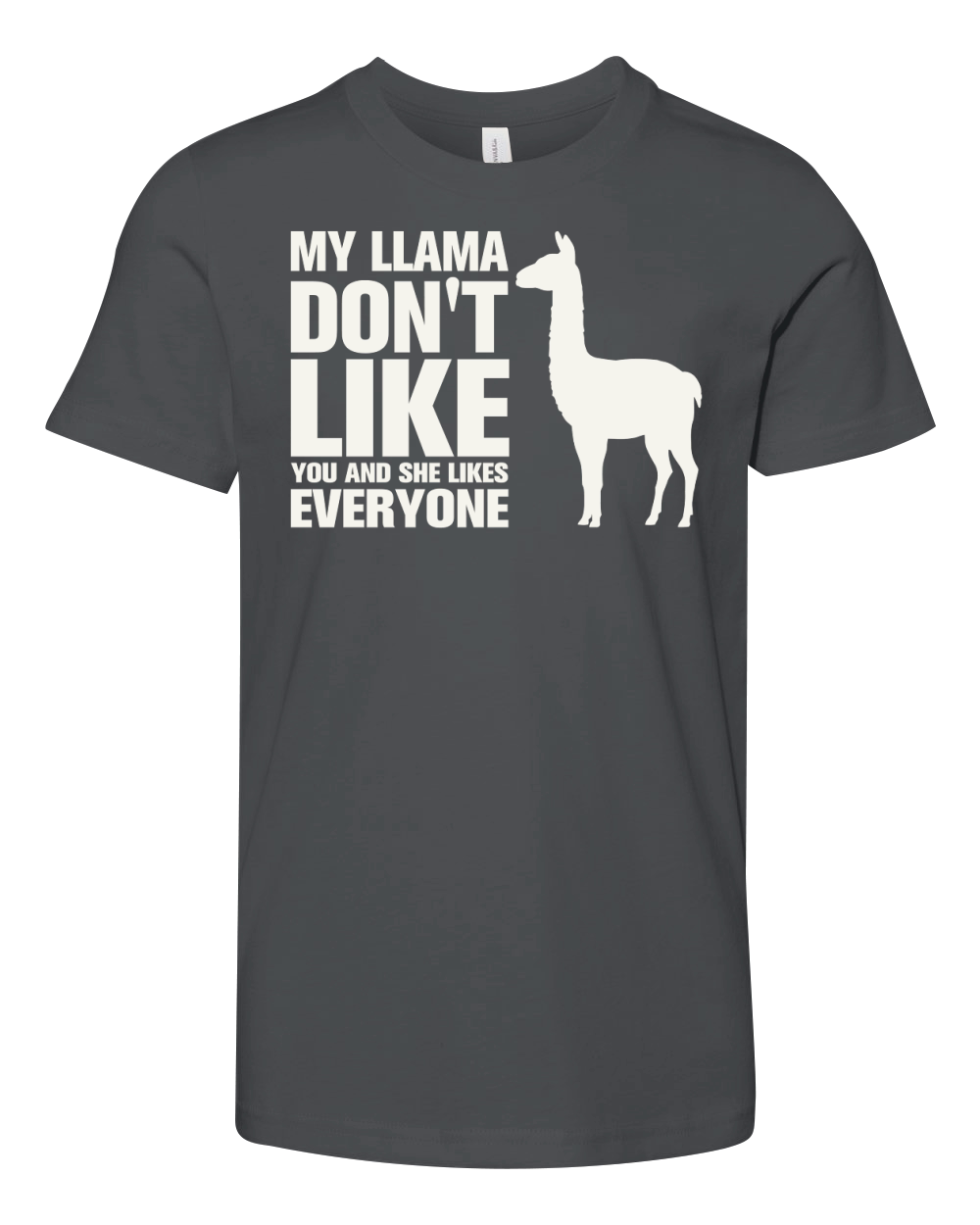 My llama dont like you and she likes everyone Youth Unisex Jersey Tee