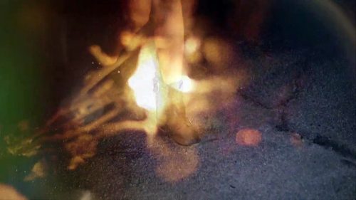 Nikki-Flores-Canary-BMF