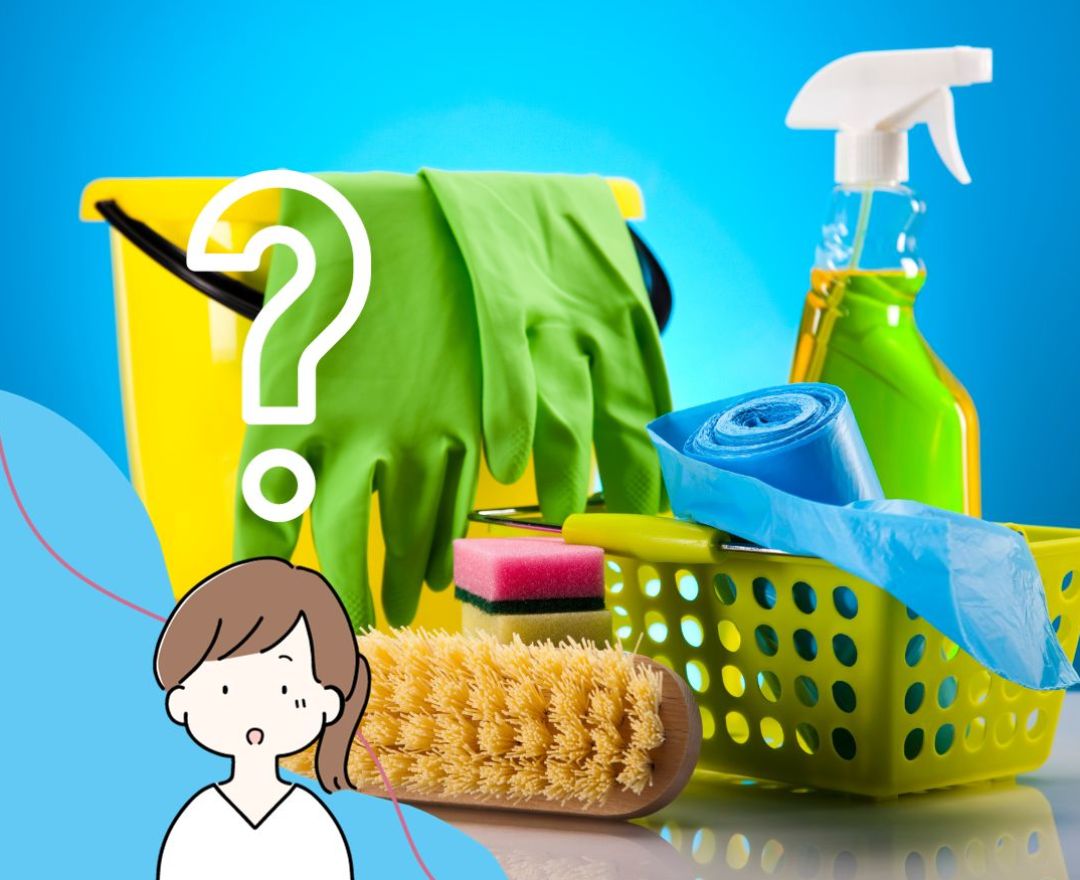 What Do Domestic Cleaners Clean