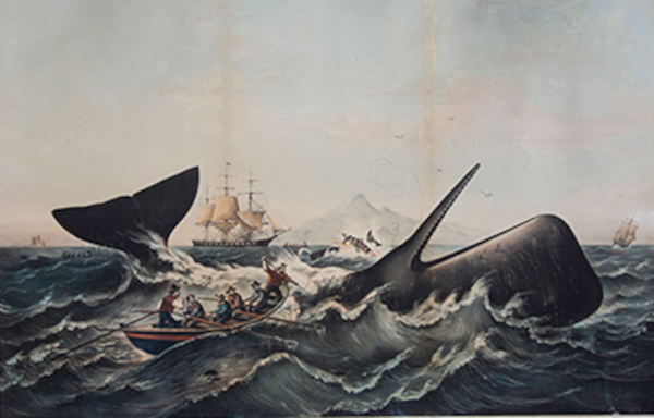 Whaling Ship Painting