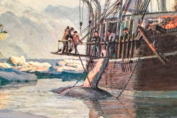 Whaling In The Arctic The Charles W. Morgan