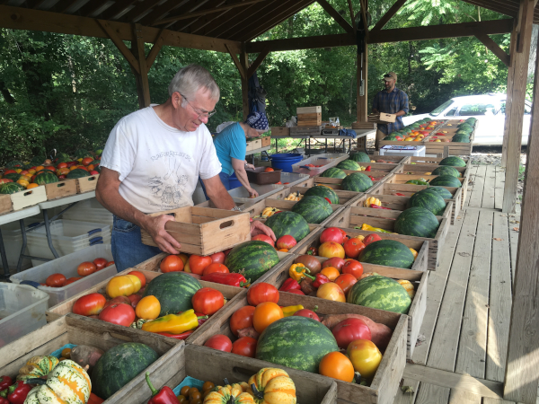 Green Grocer Abundance