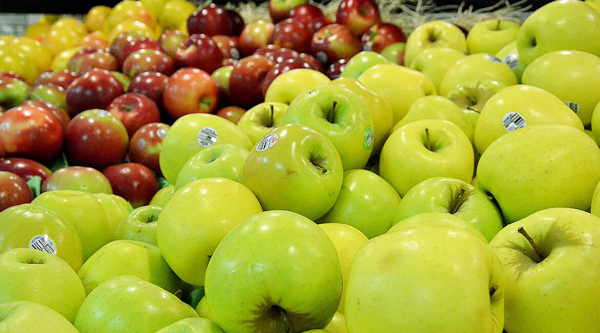 Bounty of Apples