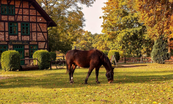 Horse Farm Ecology