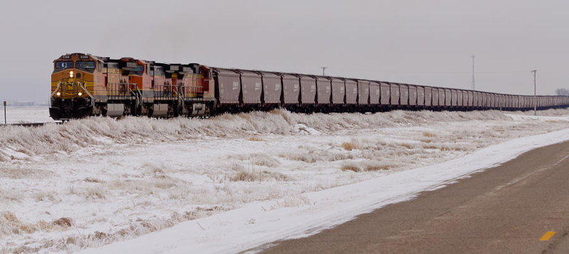 Grain Train Wayne Vedvig