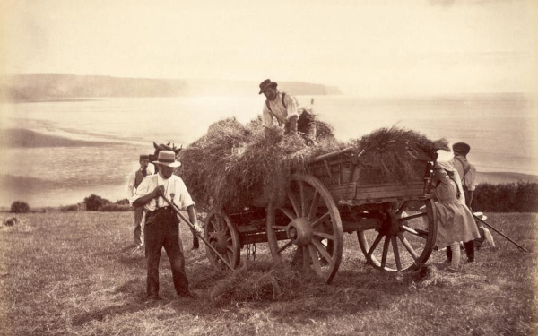 Pre-Industrial Farming