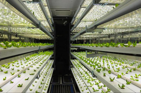 Shipping Container Farm