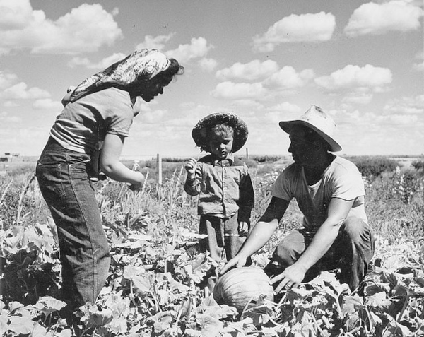 Women Farming