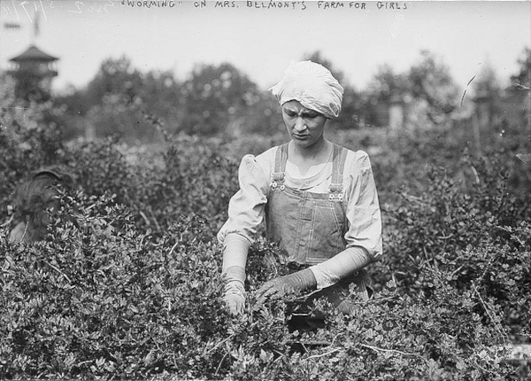 Woman Farming