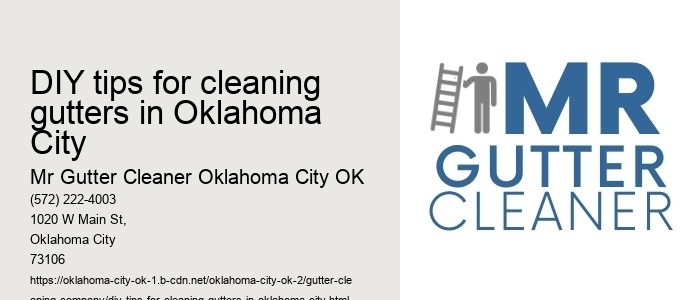 DIY tips for cleaning gutters in Oklahoma City