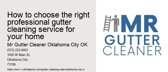 How to choose the right professional gutter cleaning service for your home