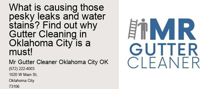 What is causing those pesky leaks and water stains? Find out why Gutter Cleaning in Oklahoma City is a must!