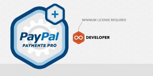 paypal payments pro large 560x280