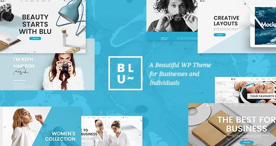 Blu – A Beautiful Theme for Businesses and Individuals 1.3