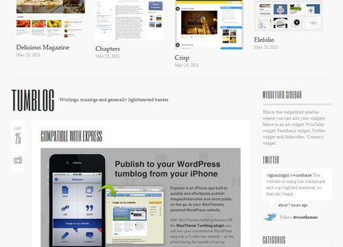 WooThemes Briefed Premium Theme 1.2.4