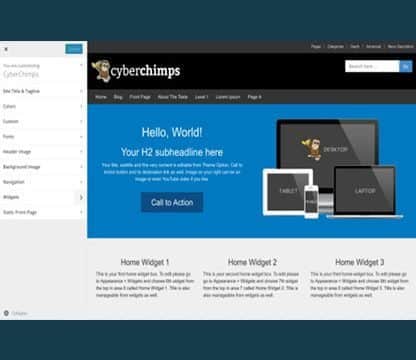 CyberChimps CyberChimps Pro Features WordPress Plugin 1.2